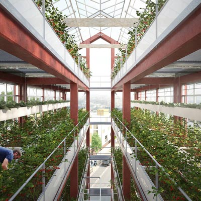 Urban agriculture: example of garden tower